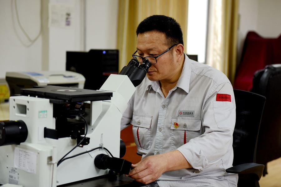 顯微觀察工作場景.jpg 顯微觀察工作場景.jpg